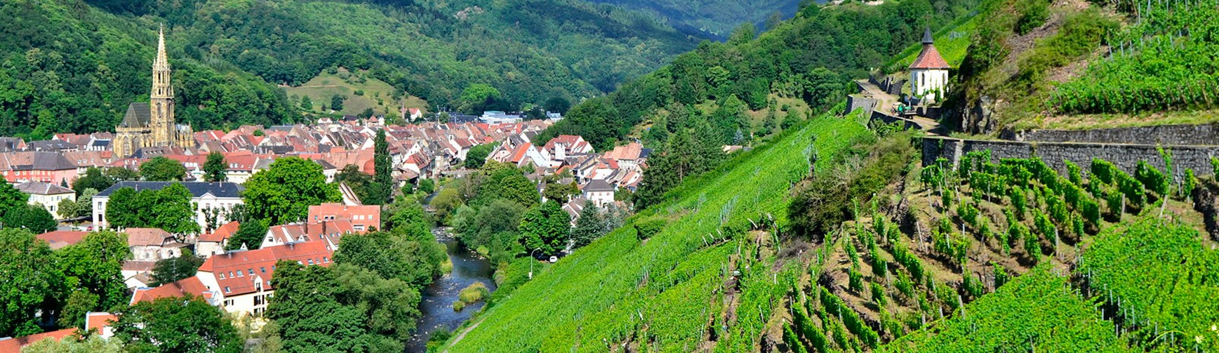 Les vins d'Alsace