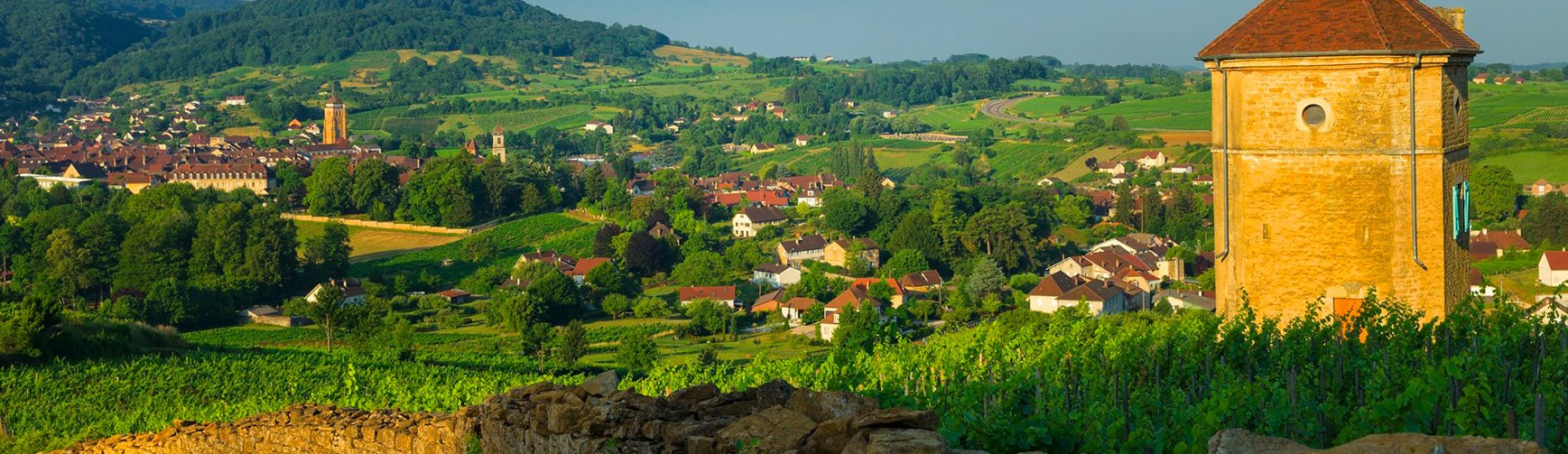 Les Vins de Savoie