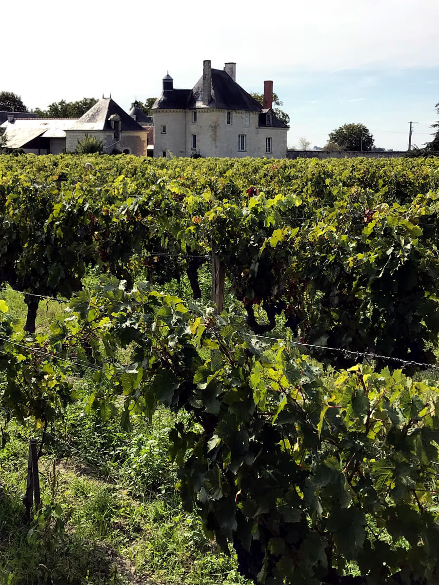 Coffrets gourmands • La cave du Père Tranquille